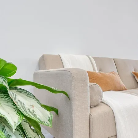 Lejlighed Beco Santa Emilia 4o, A In Madeira Funchal (Madeira)